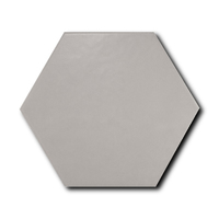 Scale Hexagon Grey